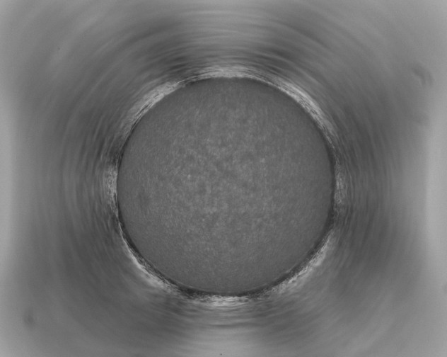 X0000115130849200911101645