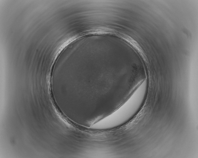 X0000115130850200911101645