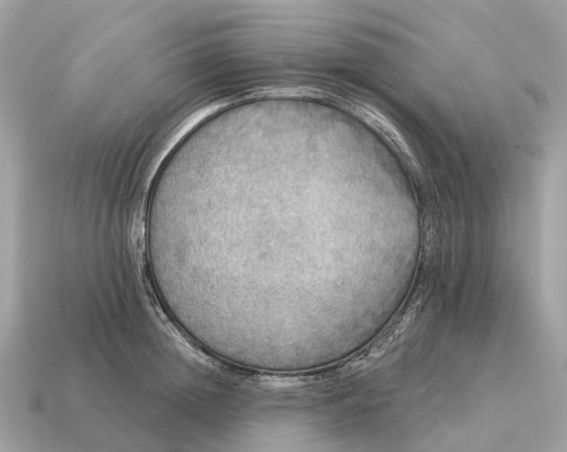 X0000115130852200911101645