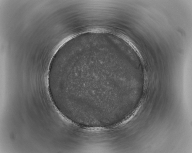 X0000115130853200911101645