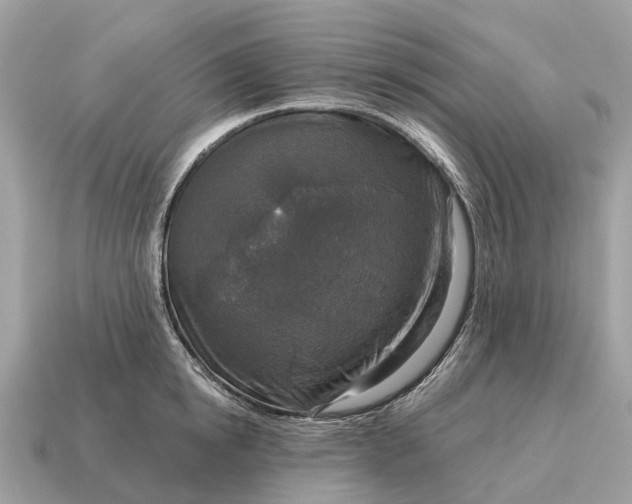 X0000115130854200911101645