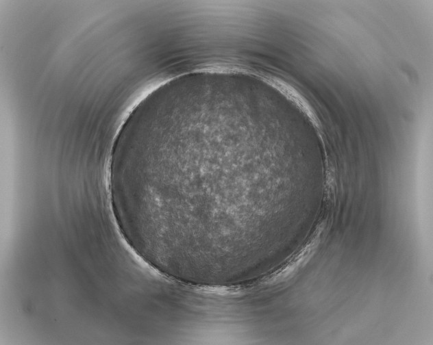 X0000115130855200911101645