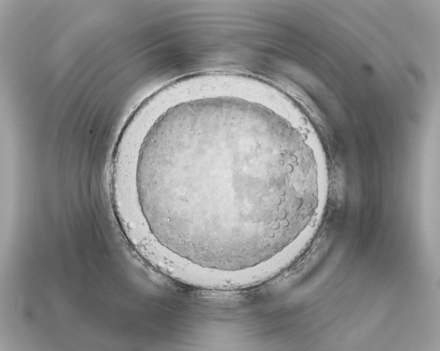 X0000115130856200911101645