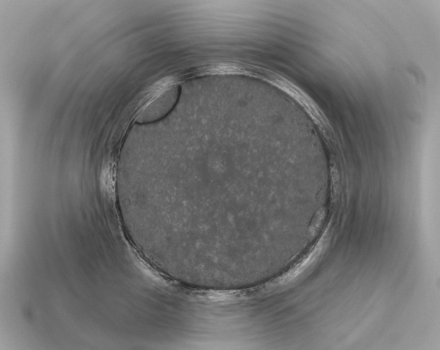 X0000115130857200911101645