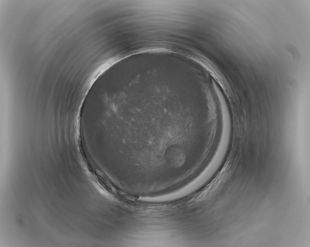 X0000115130858200911101645