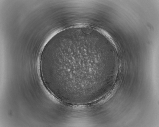 X0000115130859200911101645