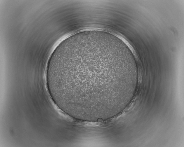 X0000115130861200911101645