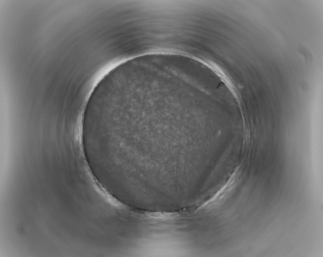 X0000115130862200911101645