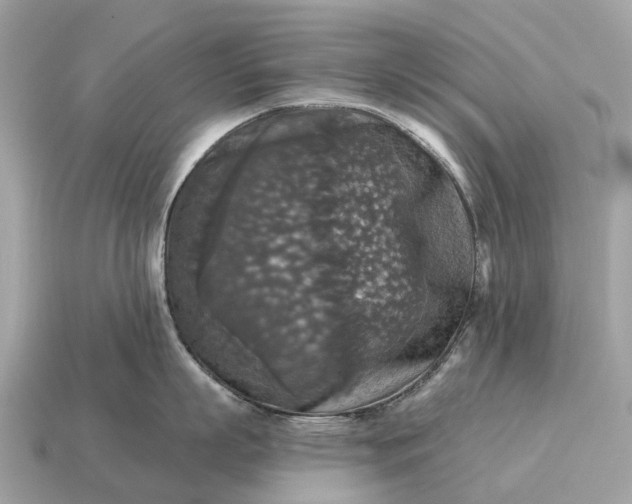 X0000115130863200911101645