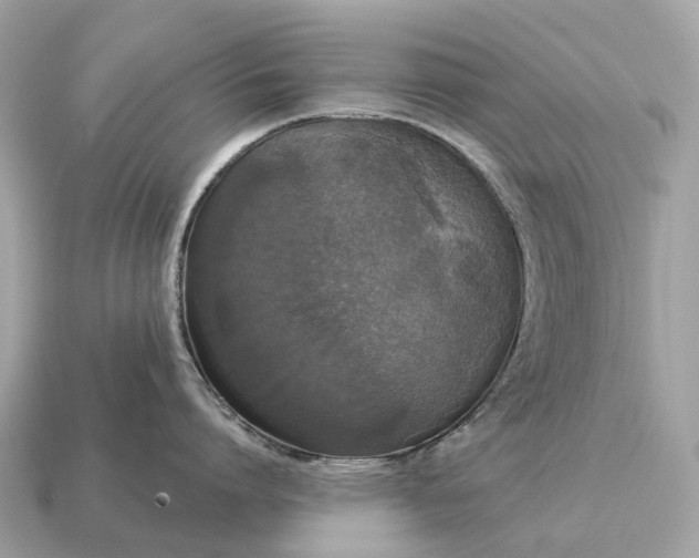 X0000115130864200911101645