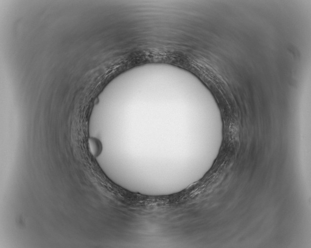 X0000115130865200911101645