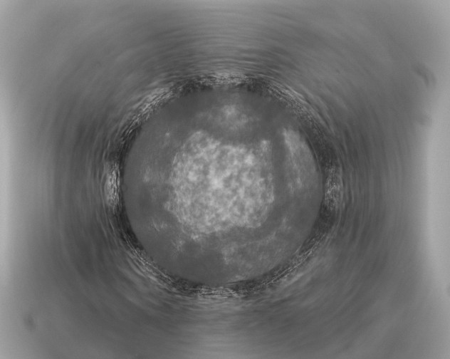 X0000115130866200911101645