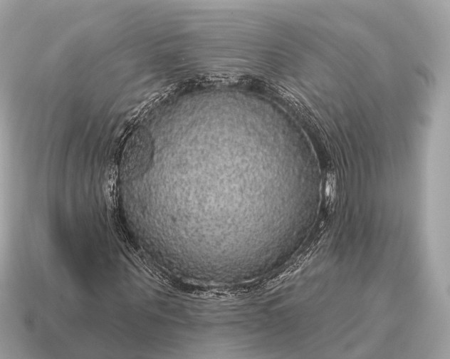 X0000115130867200911101645