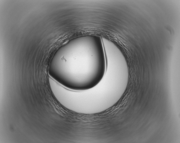 X0000115130868200911101645