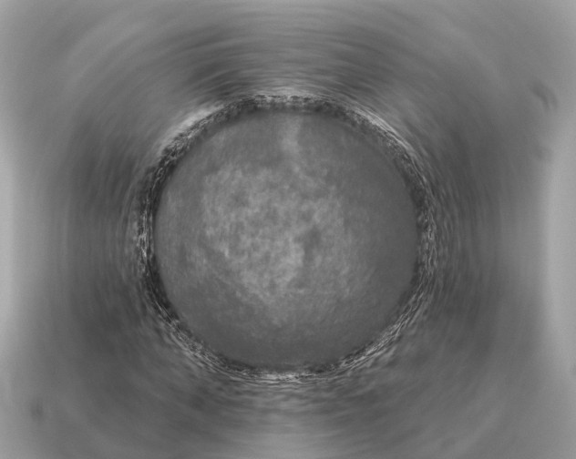 X0000115130870200911101645