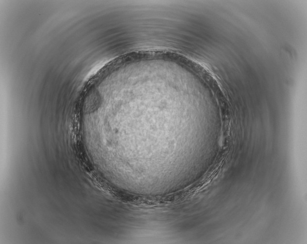 X0000115130871200911101645