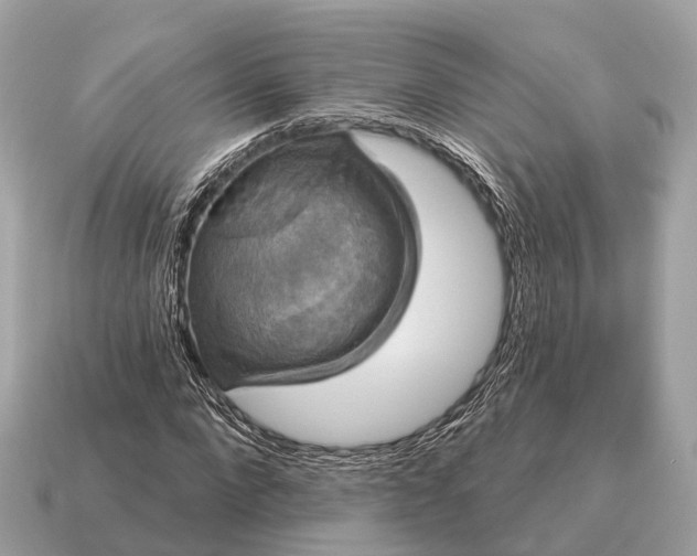 X0000115130872200911101645