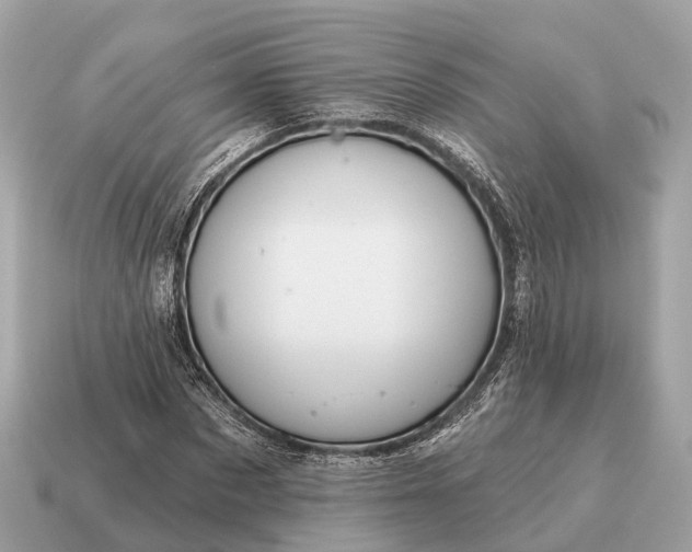 X0000115130873200911101645