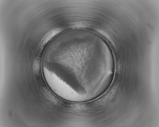 X0000115130874200911101645