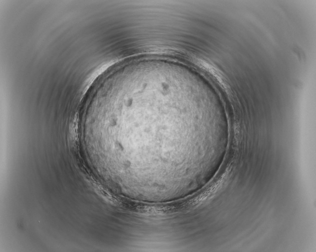 X0000115130875200911101645