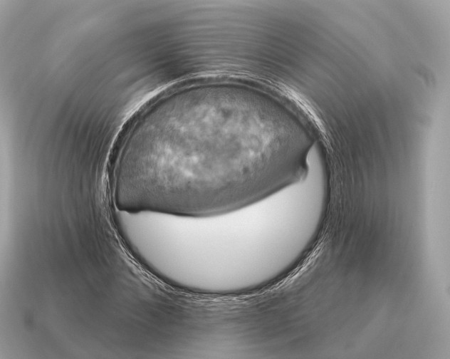 X0000115130876200911101645