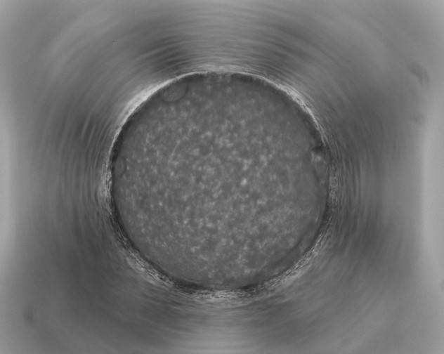 X0000115130879200911101645