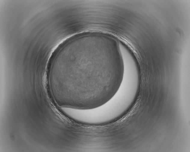 X0000115130880200911101645