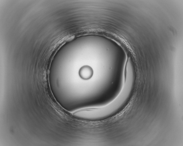 X0000115130881200911101645