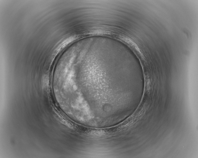 X0000115130882200911101645