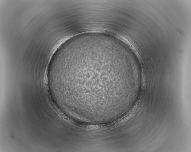 X0000115130883200911101645