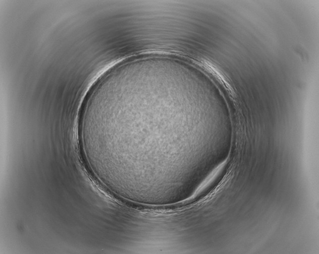 X0000115130884200911101645