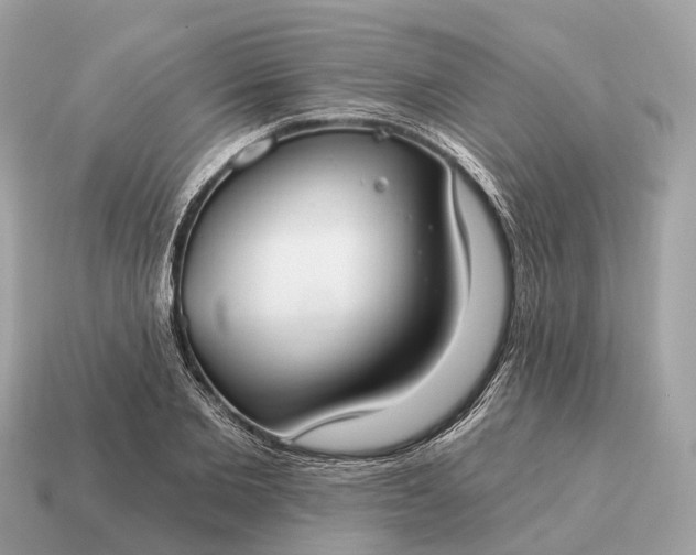 X0000115130885200911101645