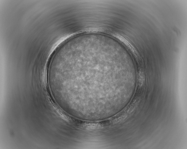 X0000115130886200911101645