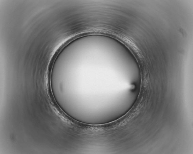 X0000115130888200911101645