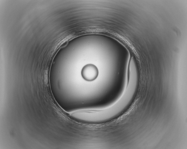 X0000115130889200911101645