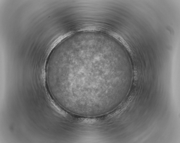 X0000115130890200911101645