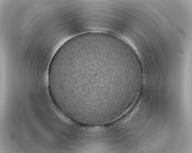 X0000115130891200911101645
