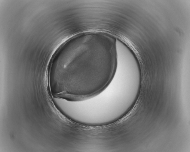 X0000115130892200911101644