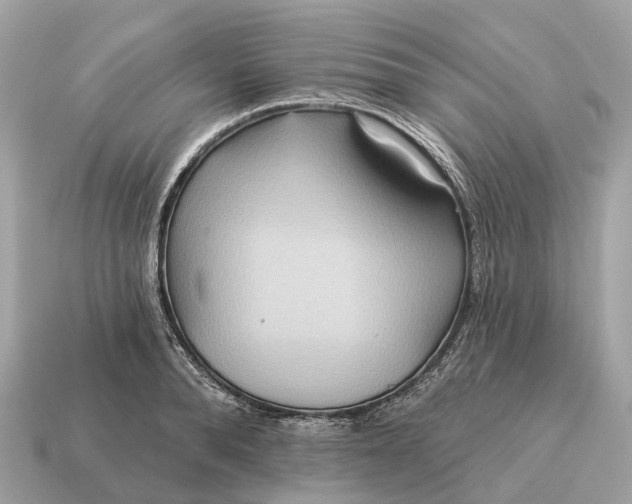 X0000115130896200911101644