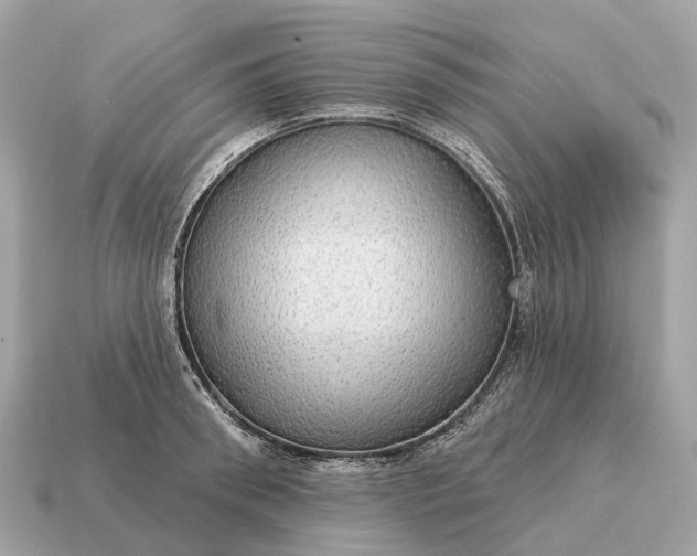 X0000115130898200911101644