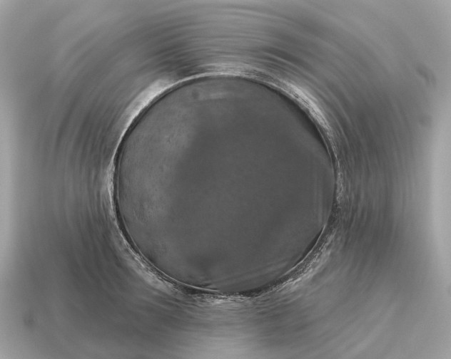 X0000115130899200911101644