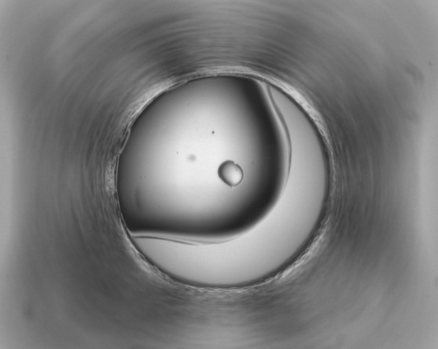 X0000115130905200911101644