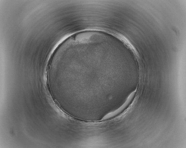 X0000115130908200911101644