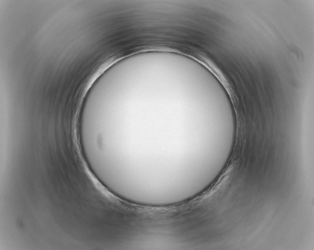 X0000115130909200911101644