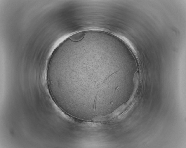 X0000115130910200911101644