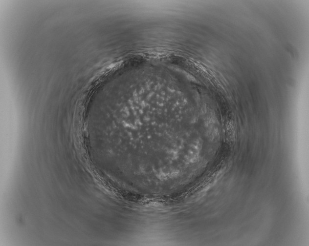 X0000115130913200911101644