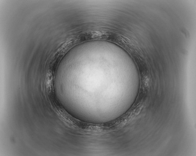 X0000115130914200911101644