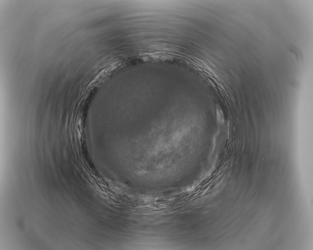 X0000115130915200911101644