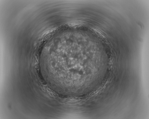 X0000115130917200911101644