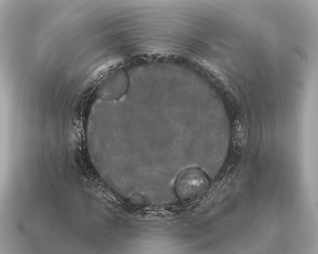 X0000115130918200911101644